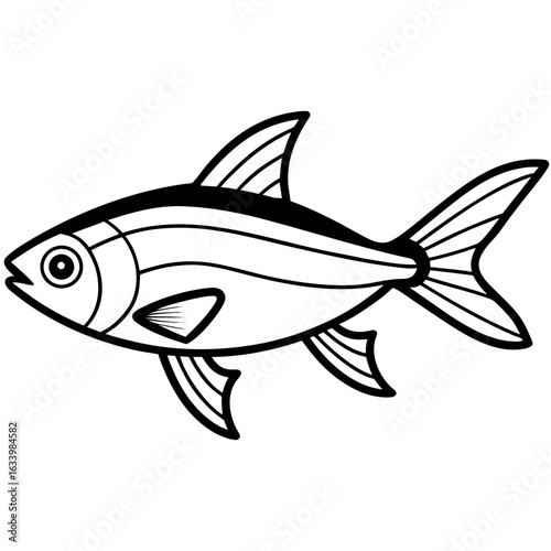 Simple Neon Tetra on White