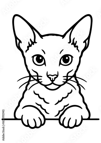 Black and white vector portrait of Cornish Rex cat with paws on white background. Perfect for engraving, prints, tattoos, and cat lover gifts