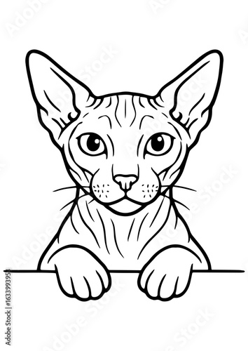 Black and white vector portrait of Sphynx cat with paws on white background. Perfect for engraving, prints, tattoos, and cat lover gifts