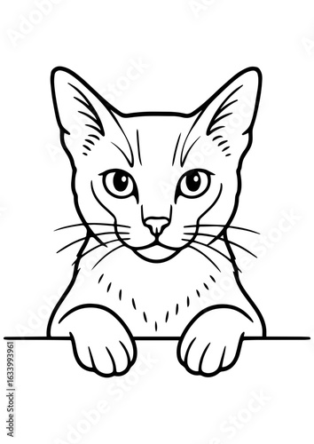 Black and white vector portrait of Abyssinian cat with paws on white background. Ideal for engraving, prints, tattoos, and cat lover gifts