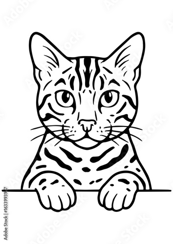 Black and white vector portrait of cat with paws on table, on white background. Perfect for engraving, prints, tattoos, and cat lover gifts