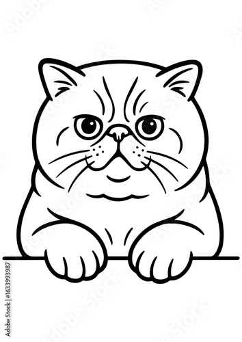 Black and white vector portrait of Exotic Shorthair cat with paws on white background. Ideal for engraving, prints, tattoos, and cat lover gifts