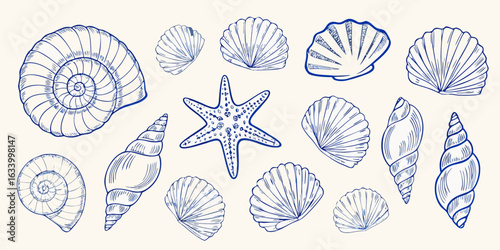Collection of blue line art seashells and starfish