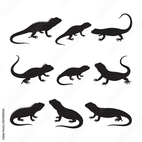  A black and white illustration featuring 12 black silhouettes of lizards White Background. 