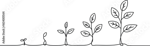Plant growth stages in continuous line drawing seedling