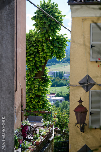 Fototapeta Naklejka Na Ścianę i Meble -  street in the old town of compiano italy