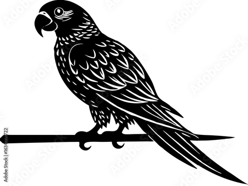 Parrot on Perch Silhouette