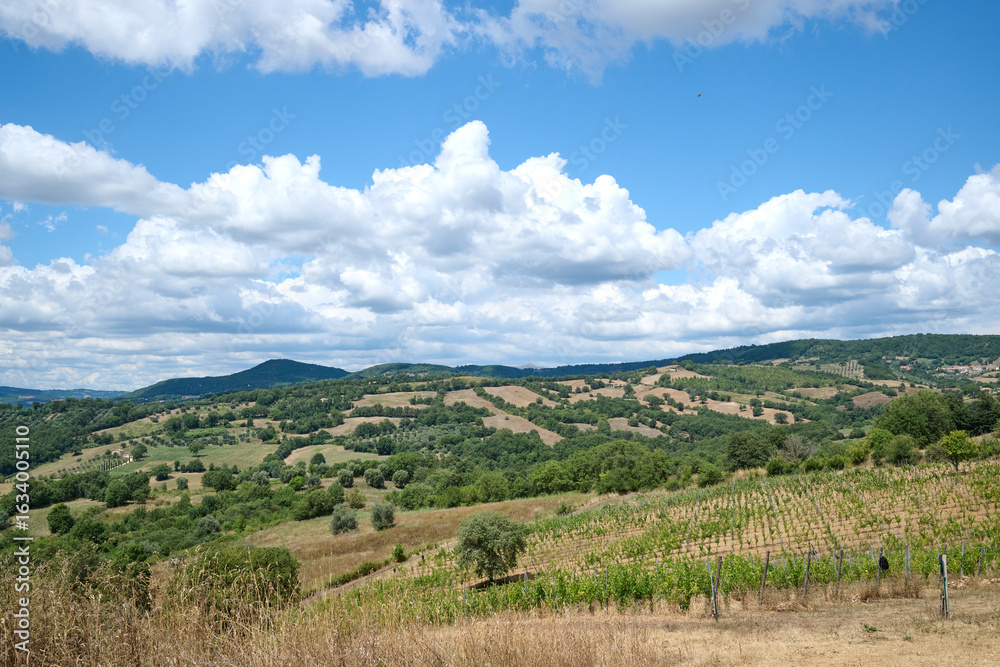 Naklejka premium landscape of tuscany with blue sky with clouds and hills and trees