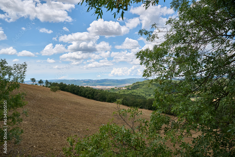 Obraz premium landscape of tuscany with blue sky with clouds and hills and trees