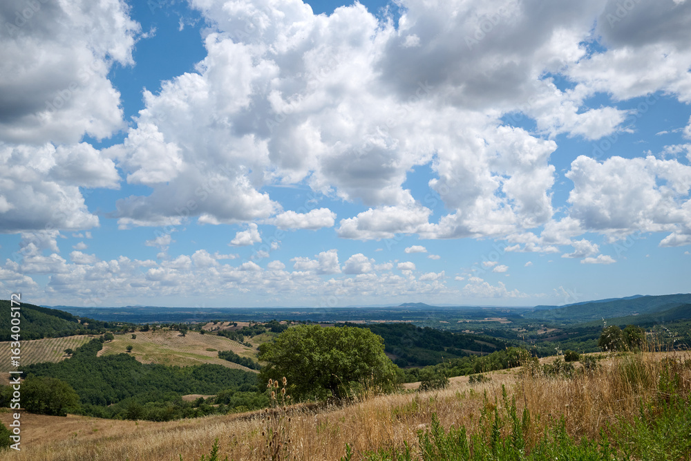 Naklejka premium landscape of tuscany with blue sky with clouds and hills and trees