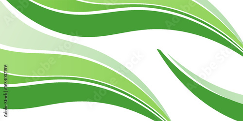 Abstract White and Green wave wide background banner