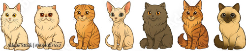Cats