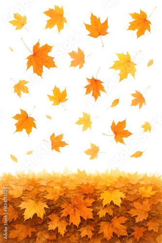 Autumn leaves falling from the sky isolated on transparent background