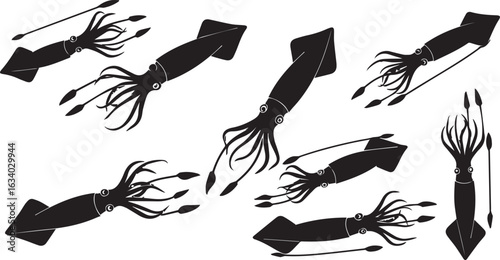 Collection of Black Squid Silhouettes in Diverse Poses on White Background cephalopod mollusk