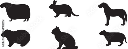 Set of black mammal silhouettes isolated