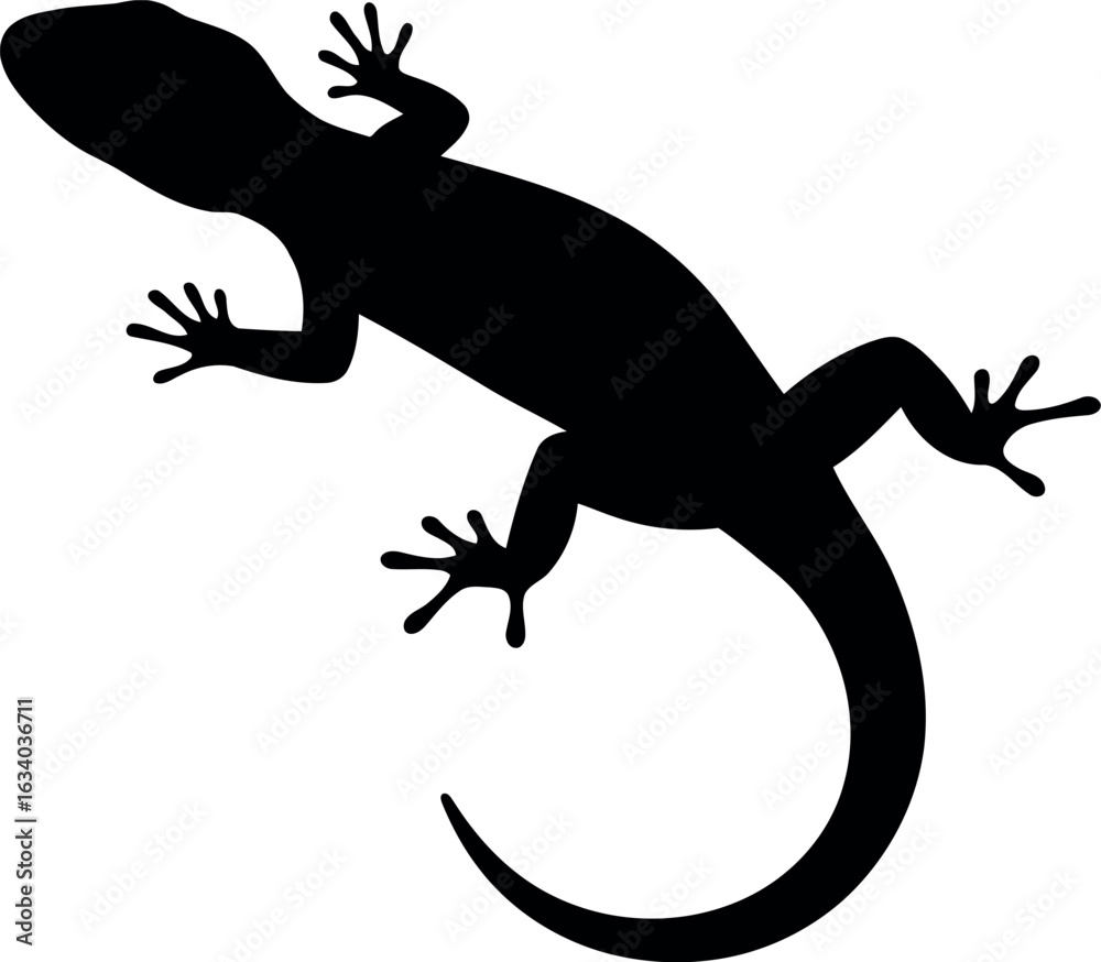 Obraz premium Black gecko silhouette