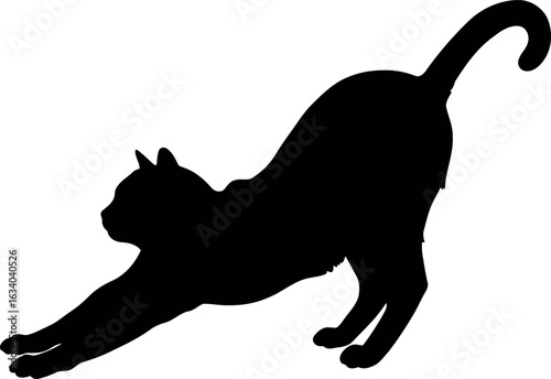 Black cat silhouette stretching