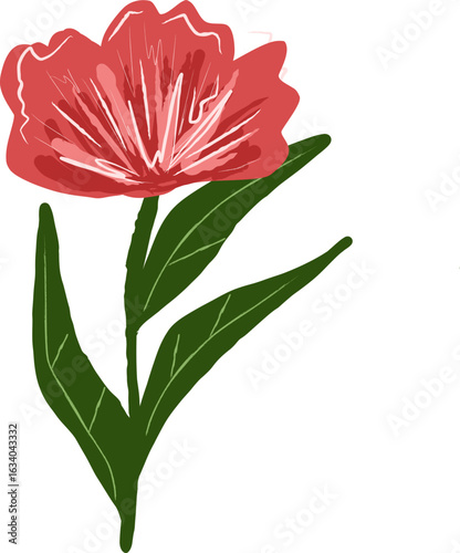 red carnation flower vector illustration