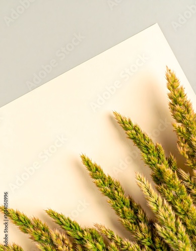 Flat Lay of Fine Dried Grass on Cream Paper Background – Soft Natural Texture for Seasonal, Easter, and Branding Use