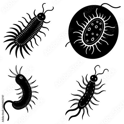 Illustration of various black and white arthropods and microorganisms on a white background artfully drawn