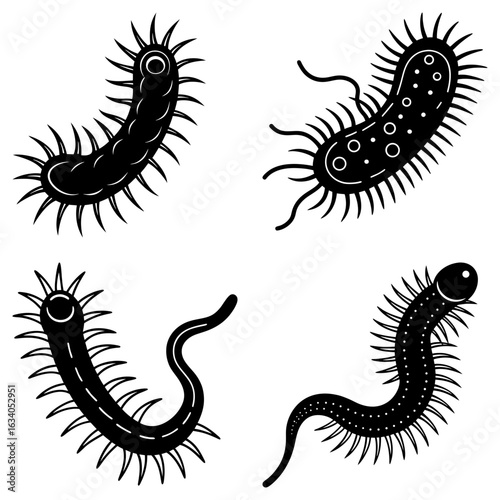 Illustration of four stylized black and white bacteria cells with spiky projections and tails design elements