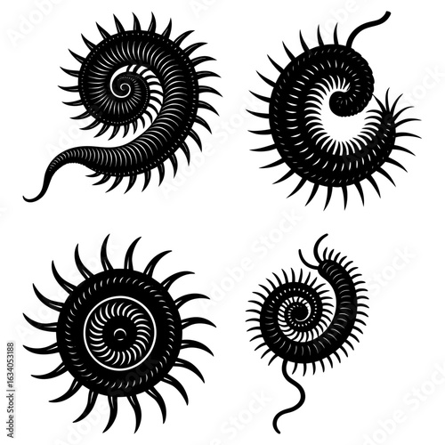Four black and white spiraled shapes with spiky edges resembling stylized sea creatures or fossils