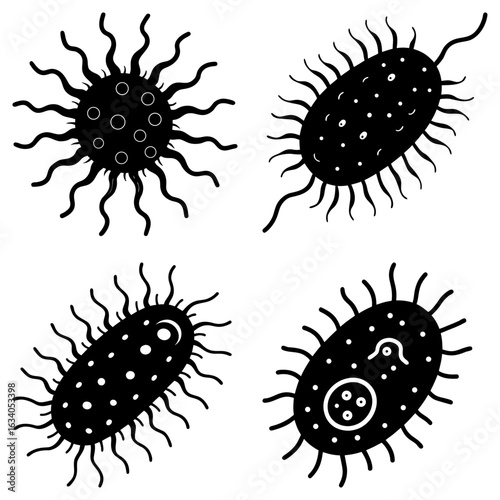 Illustration of four different types of bacteria cells with flagella and internal structures shown clearly