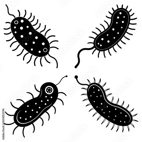 Illustration of four black and white bacteria cells with flagella and pili arranged in a circle