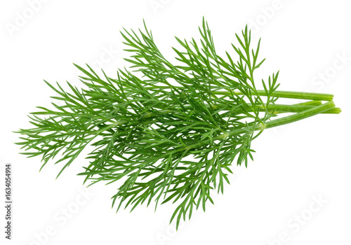 Papier peint Fresh Dill Sprigs, Isolated