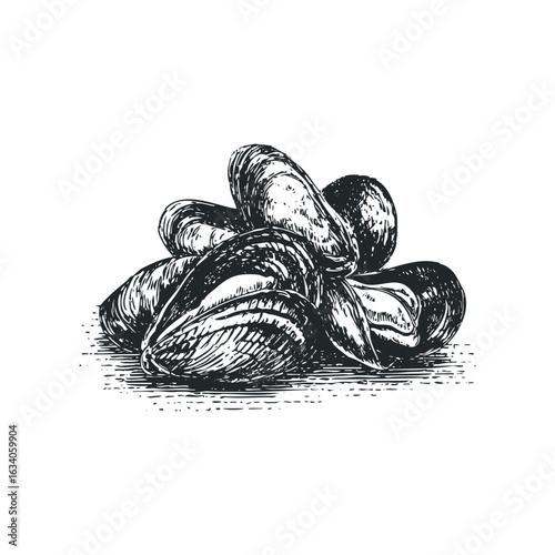 Mussels Pile Etching Style Seafood Illustration Still Life