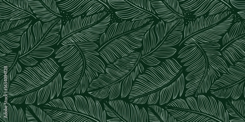 Elegant dark green feather pattern on a dark background
