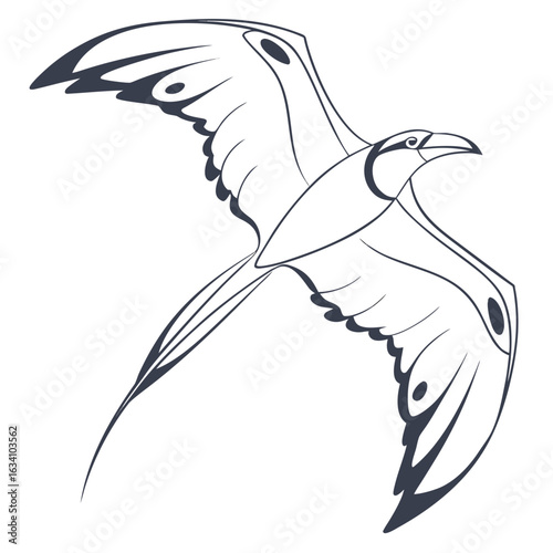 Elegant frigatebird soars gracefully, isolated on white background