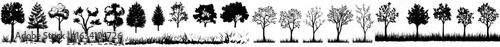 A set of hand drawn trees, including green pine, blue spruce, lush ash, and beige bush, is depicted in a modern watercolor style as a side view isolated on a white background