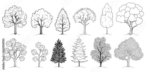 Collection of manually drawn trees for architectural purposes, including a sketch of a landscape
