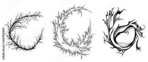 Modern Seaweed illustration is a hand drawn drawing of Algae in outline style created with black inks on a white isolated background, featuring line art of underwater laminaria as an engraving of a