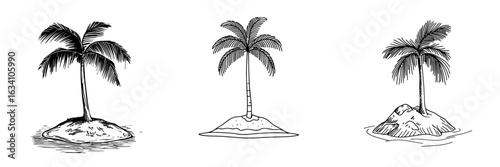 A hand-drawn palm tree is depicted in a doodle style, created with blue pen line strokes as an isolated element, representing summer flora and a jungle concept in a modern illustration