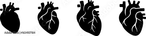Human Heart Anatomy Stroke Icon Collection.