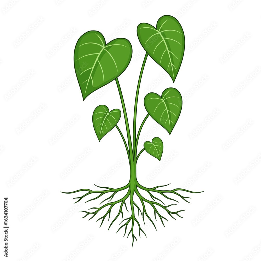 Obraz premium Heart Shaped Leaves Growing from a Root System