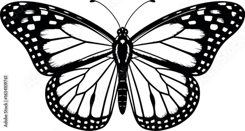A detailed black and white illustration of a butterfly with intricate wing patterns and antennae