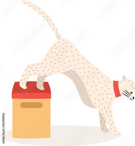 Playful cat with a red collar stretching its body over a box, displaying remarkable flexibility and captivating feline grace, embodies the charm and antics of a curious pet