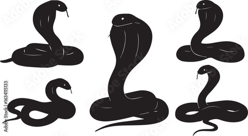 Five Black Silhouette Cobra Snakes in Different Poses on White Background serpent reptile