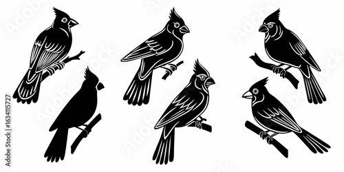 Silhouette illustration of six cardinal birds perched on branches in a monochrome black and white design | editable eps vectors