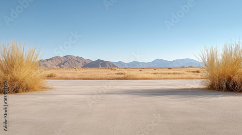 Serene landscape featuring dry grass and distant mountains clear blue sky. scene evokes sense