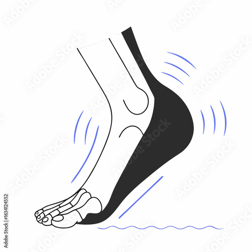 Foot anatomy illustration showing movement of an ankle joint  