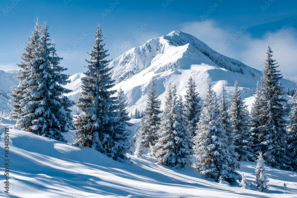Fototapeta premium Snow-covered pine forest with mountain backdrop in a winter landscape