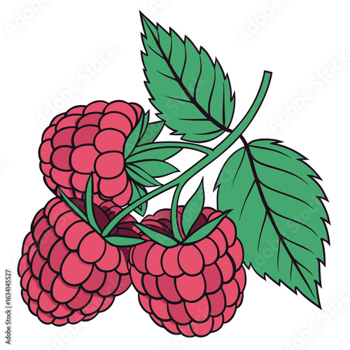 Three raspberry fruits are displayed with two leaves on a white transparent background