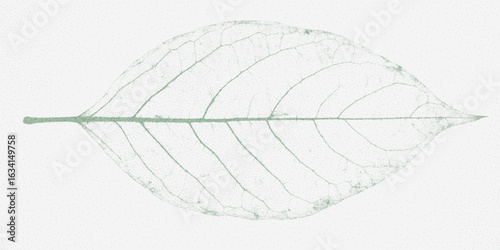 Green leaf, veins. Bold figure with threshold halftone and dusty spray effect. Grit texture and stain.