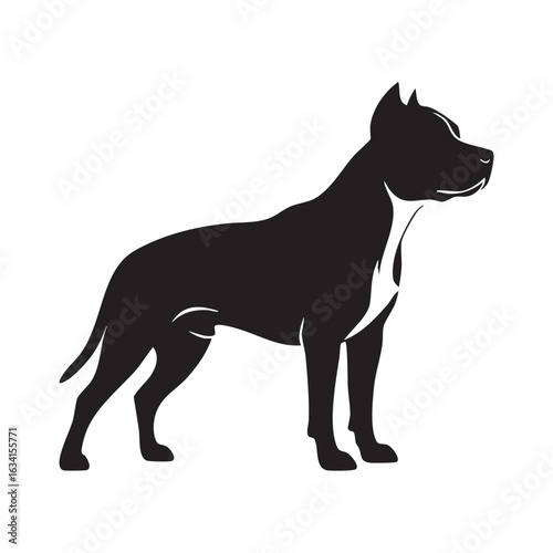 Illustration of a muscular pitbull dog in silhouette standing alert with a watchful gaze perfect for various design applications