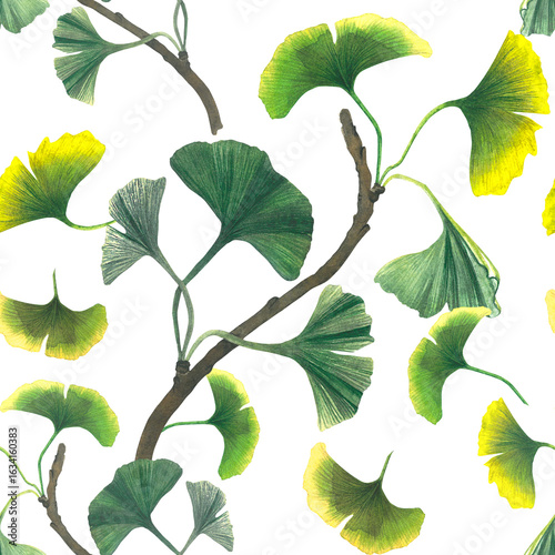 Ginkgo branch. Seamless pattern on transparent background. Watercolor illustration of ginkgo biloba branch with leaves. For textiles, design, postcards