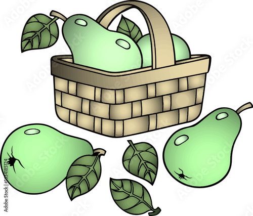 pear fruit with basket vector illustration